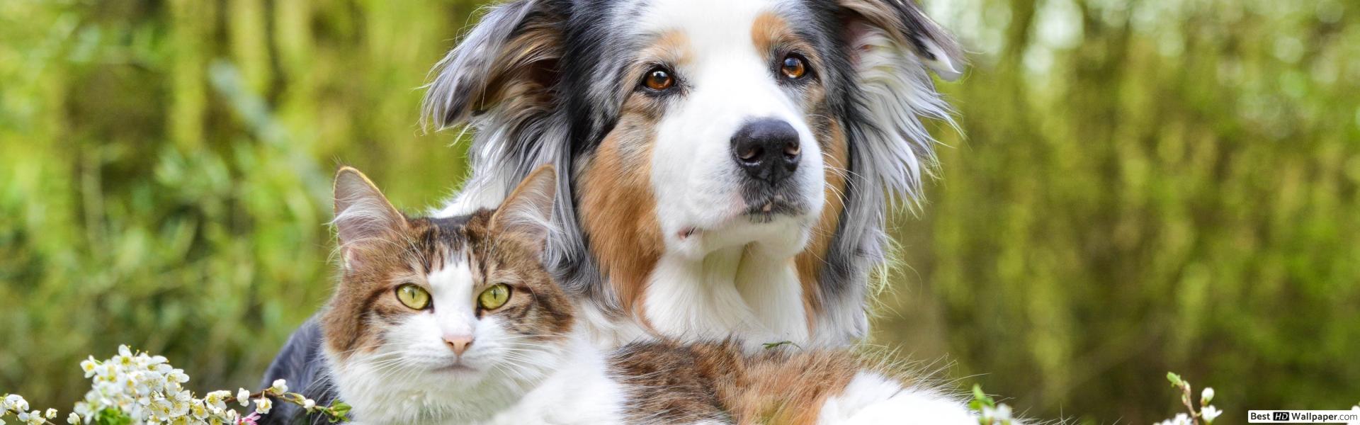 CHRIS CHRISTENSEN JAPAN / クリス・クリステンセン ジャパン